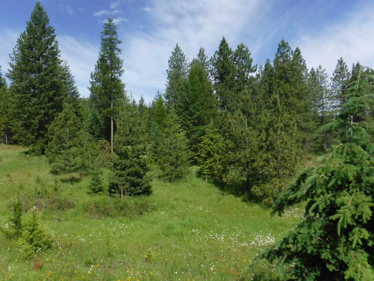 0 Williamson Road Clayton, WA 99110 - Photo 4 of 14