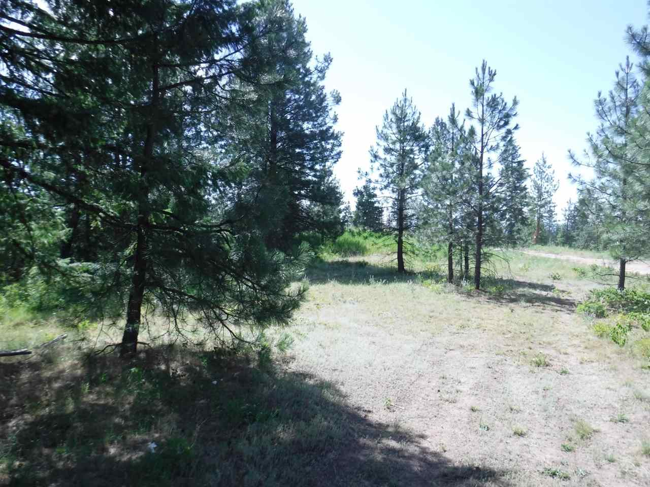 0 Williamson Road Clayton, WA 99110 - Photo 10 of 14
