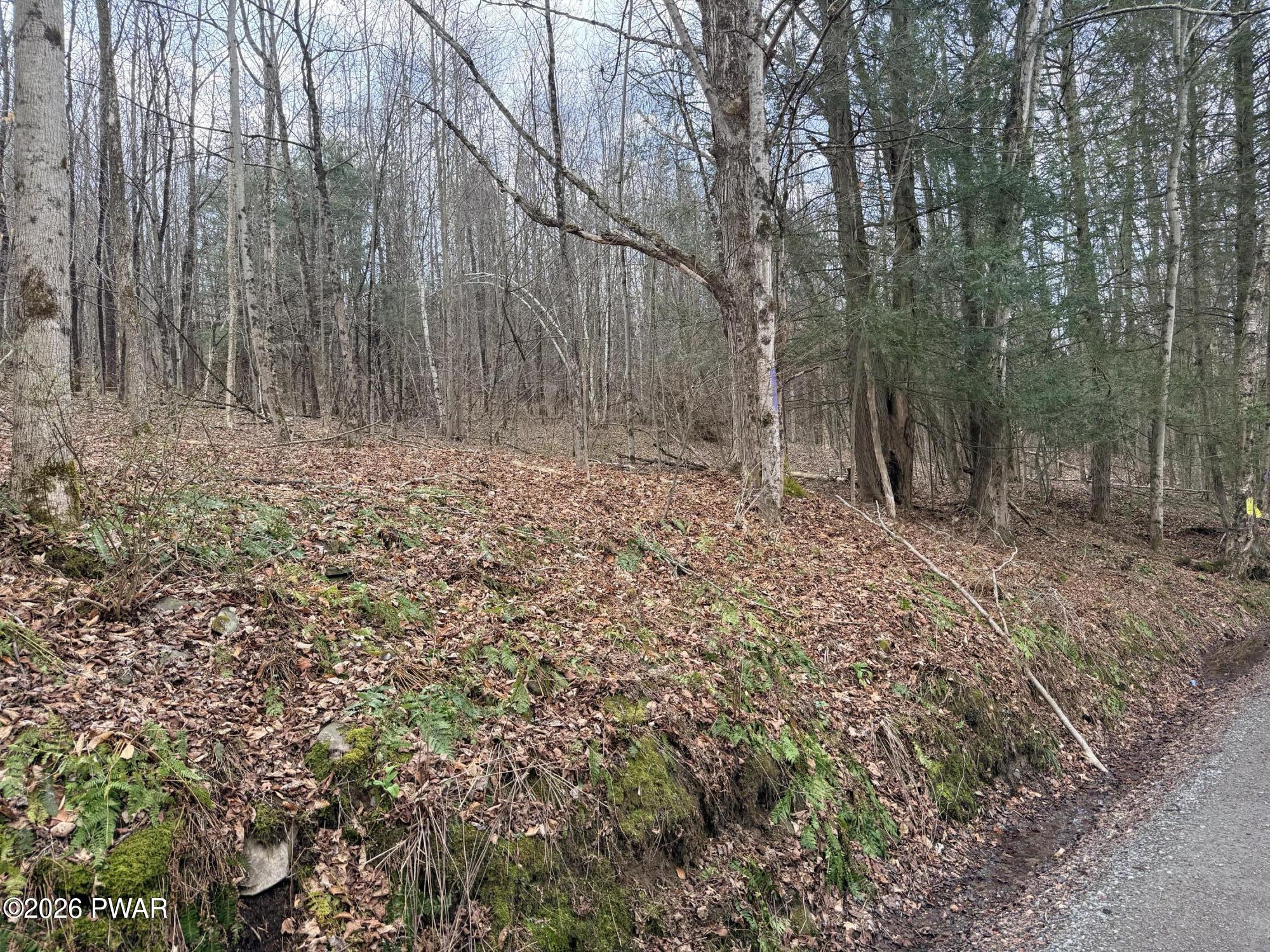 Johnson Hl Road Lenoxville, PA 18441 - Photo 3 of 8
