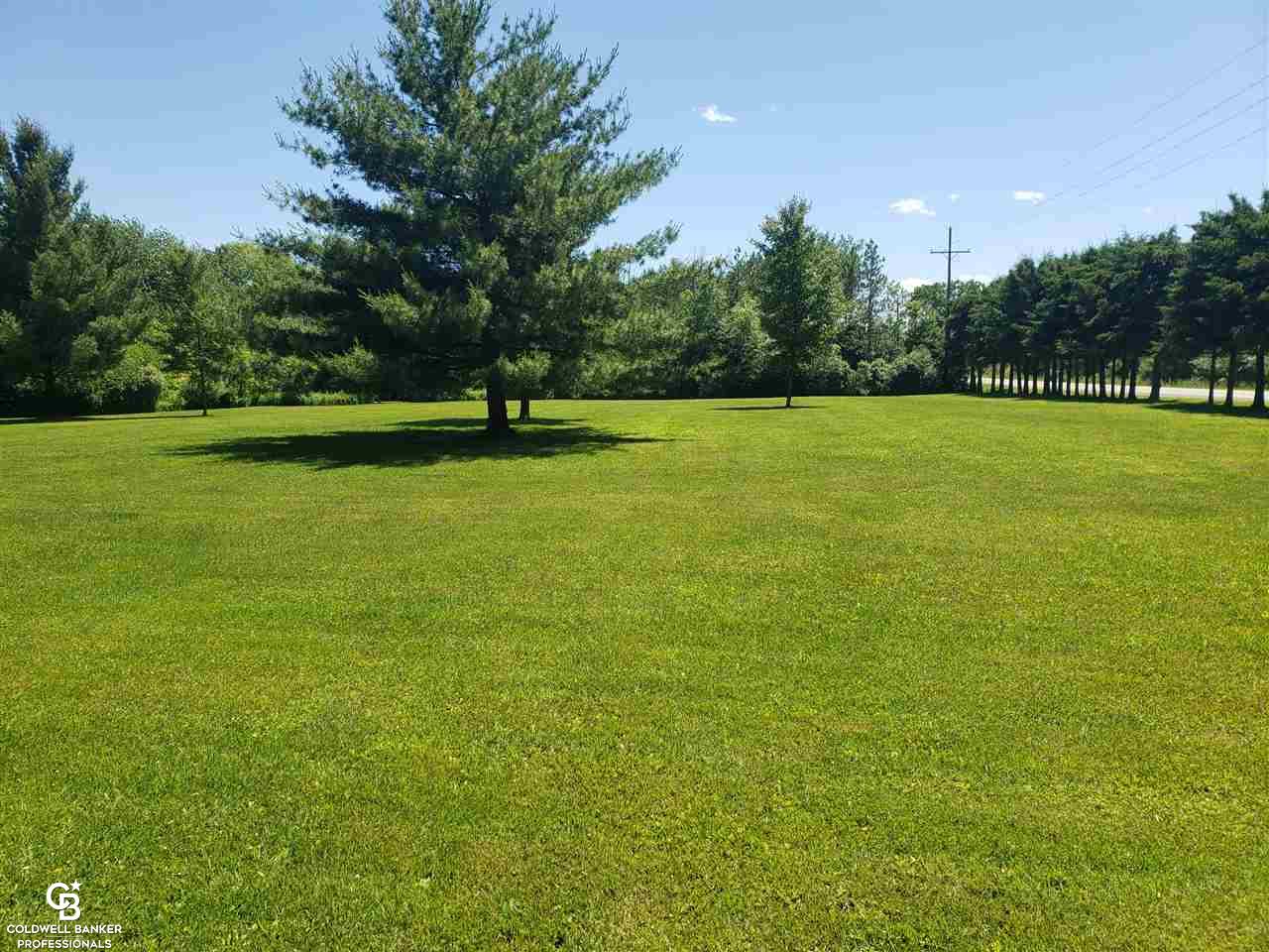 5200 Kilgore Road Avoca, MI 48006 - Photo 22 of 29 Side Yard View 3