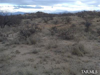 0 West McGee Ranch Road South Sahuarita, AZ 85629 - Photo 4 of 5