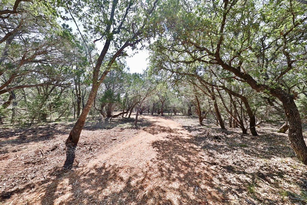 160 Fallow Run Road, Unit 238 Hunt, TX 78024 - Photo 11 of 19 Gallery Image 11