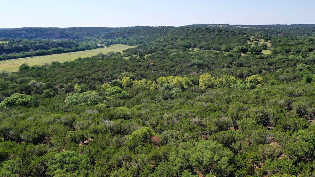 160 Fallow Run Road, Unit 238 Hunt, TX 78024 - Photo 8 of 19 Gallery Image 8
