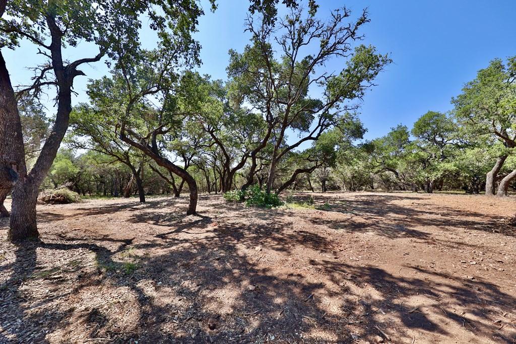 160 Fallow Run Road, Unit 238 Hunt, TX 78024 - Photo 9 of 19 Gallery Image 9