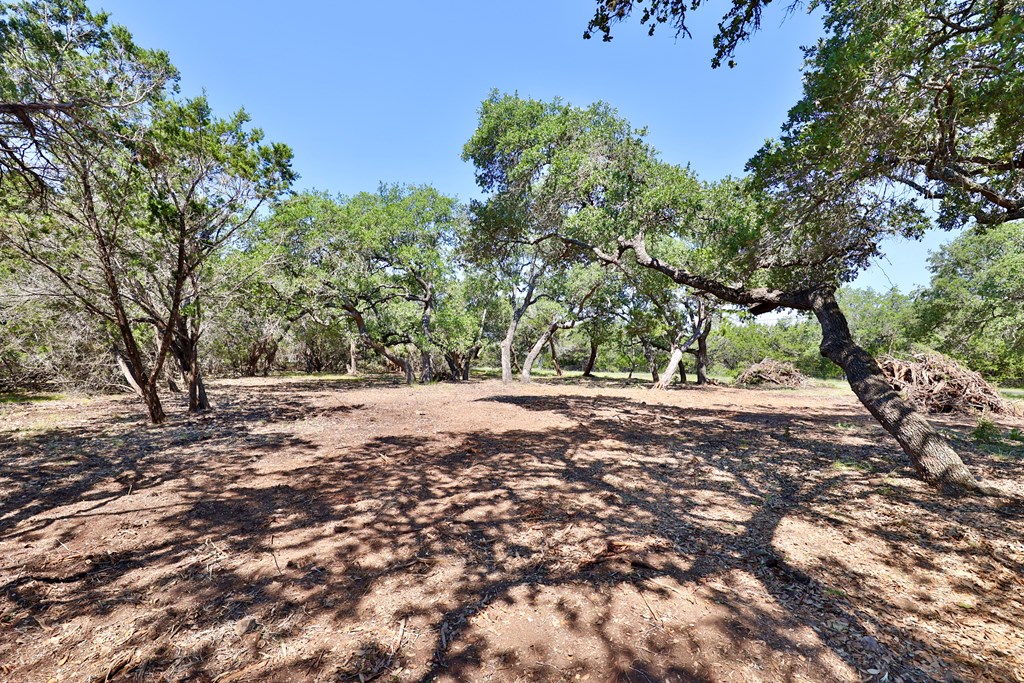 160 Fallow Run Road, Unit 238 Hunt, TX 78024 - Photo 10 of 19 Gallery Image 10