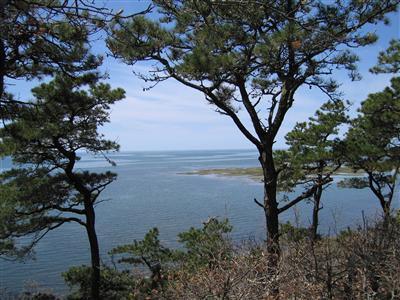 60 Ring Road Wellfleet, MA 02667 - Photo 15 of 25 Additional Photo