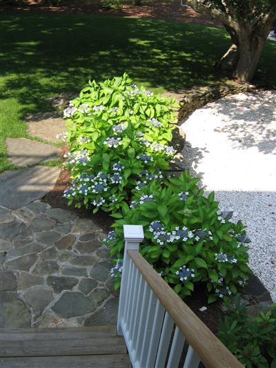 60 Ring Road Wellfleet, MA 02667 - Photo 22 of 25 Additional Photo