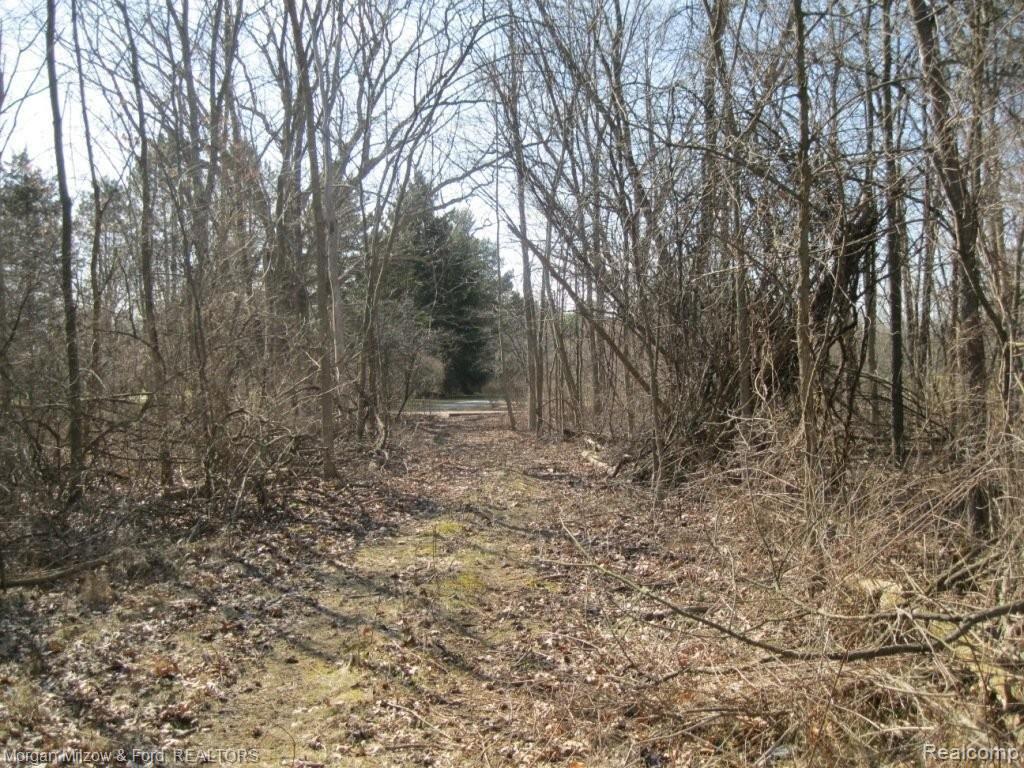V/l Reese Road Clarkston, MI 48348 - Photo 20 of 24 018.JPG