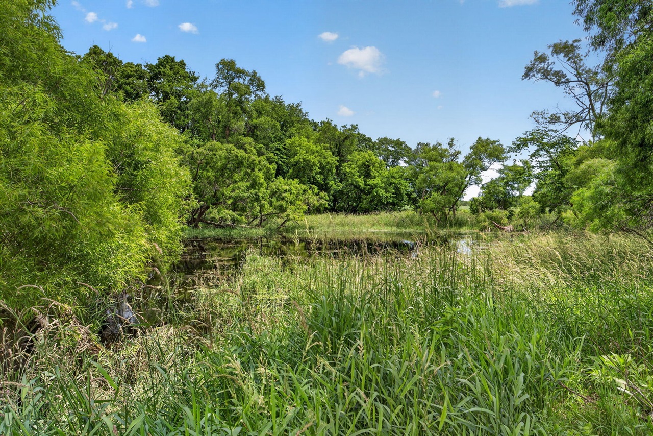 5110 North Cedar Lake Road Edmore, MI 48829 - Photo 12 of 51