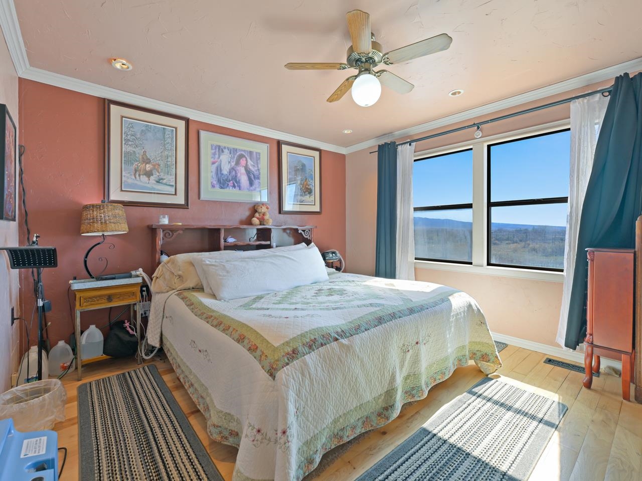 6777 Reeder Mesa Road Whitewater, CO 81527 - Photo 13 of 42 a bedroom with a large bed a flat tv screen and a dresser