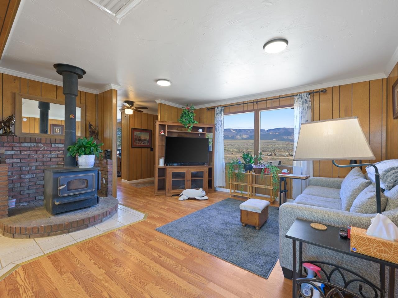 6777 Reeder Mesa Road Whitewater, CO 81527 - Photo 5 of 42 a living room with furniture and a flat screen tv