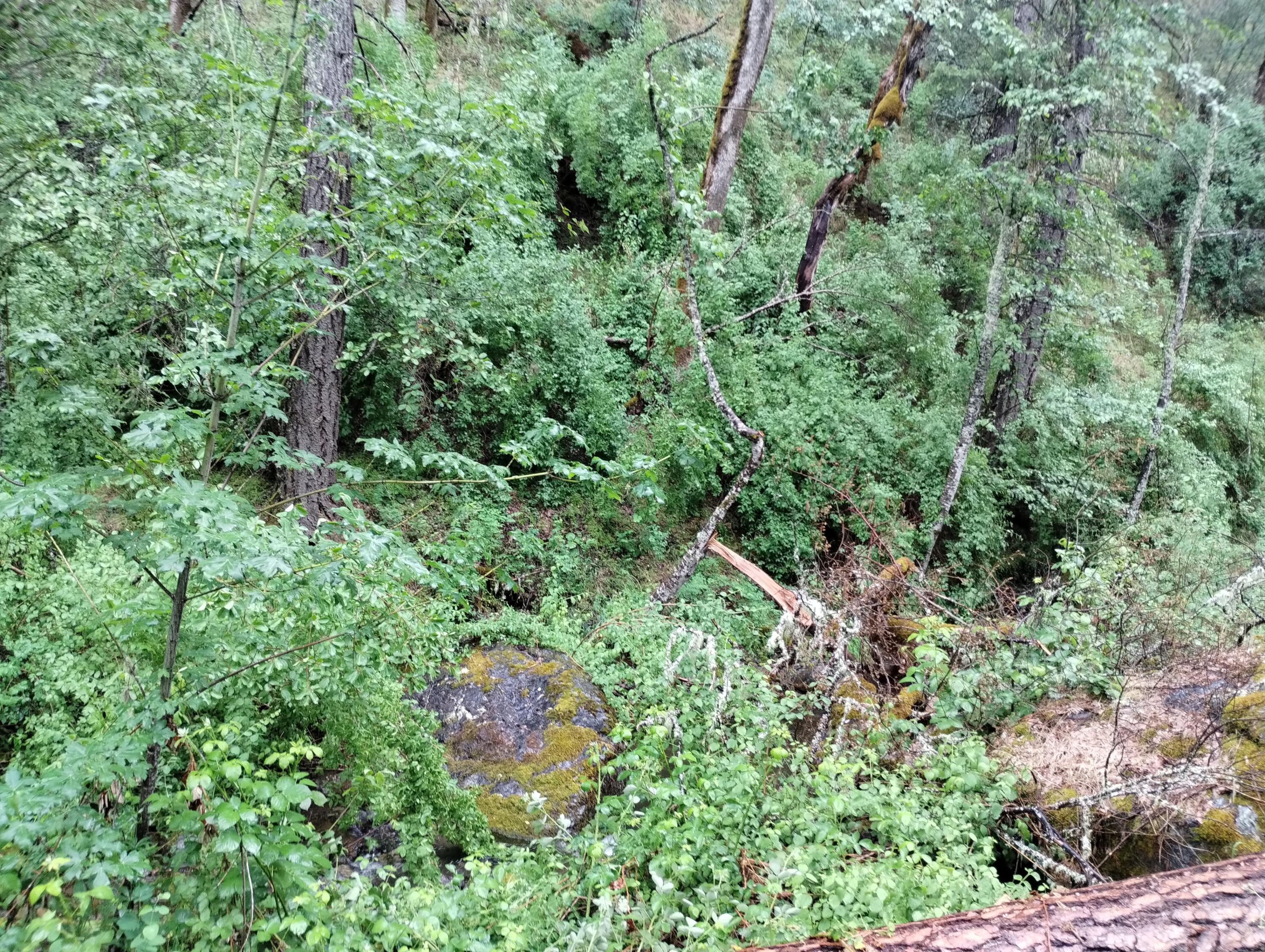 15147 Highway 3 Hayfork, CA 96041 - Photo 28 of 29 1 (67)