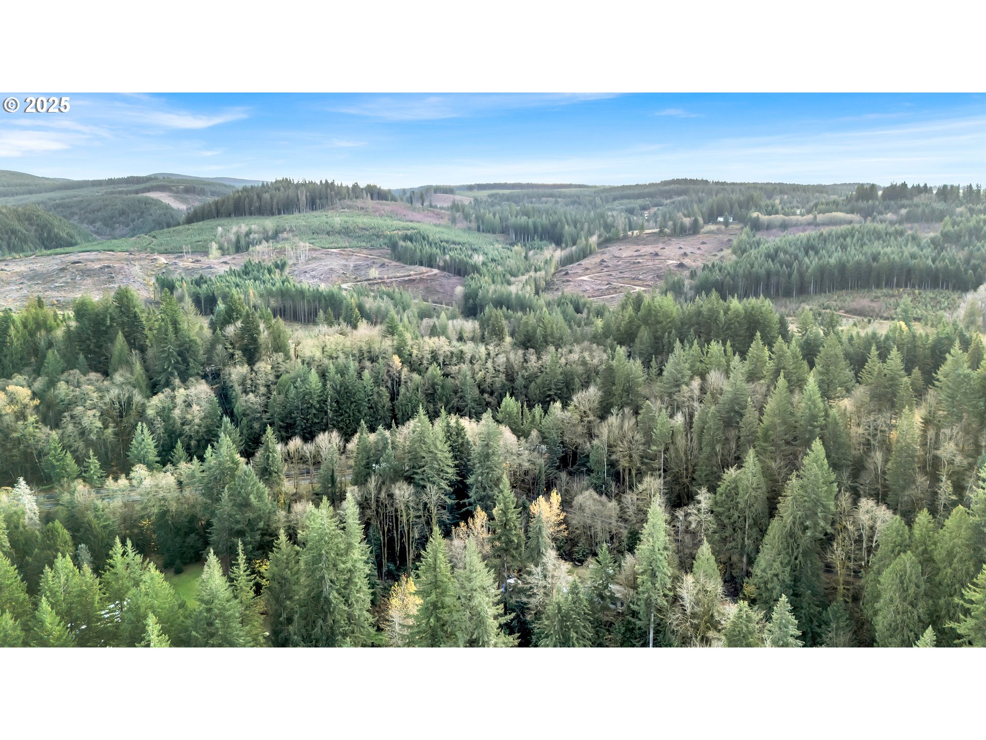 53101 East Sylvan Drive Sandy, OR 97055 - Photo 12 of 13 a open area with mountains in the background