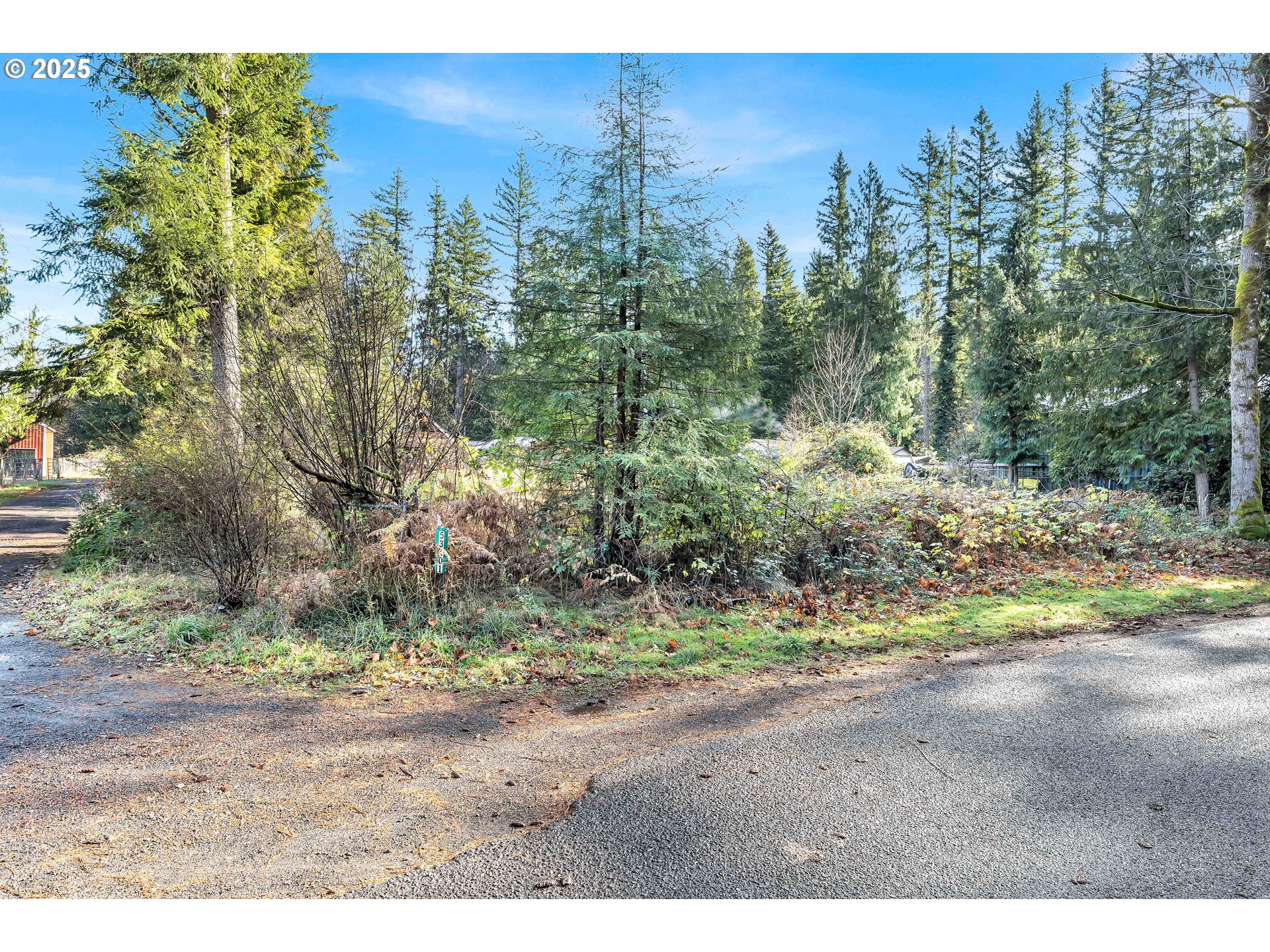 53101 East Sylvan Drive Sandy, OR 97055 - Photo 2 of 13 a view of a yard with a tree