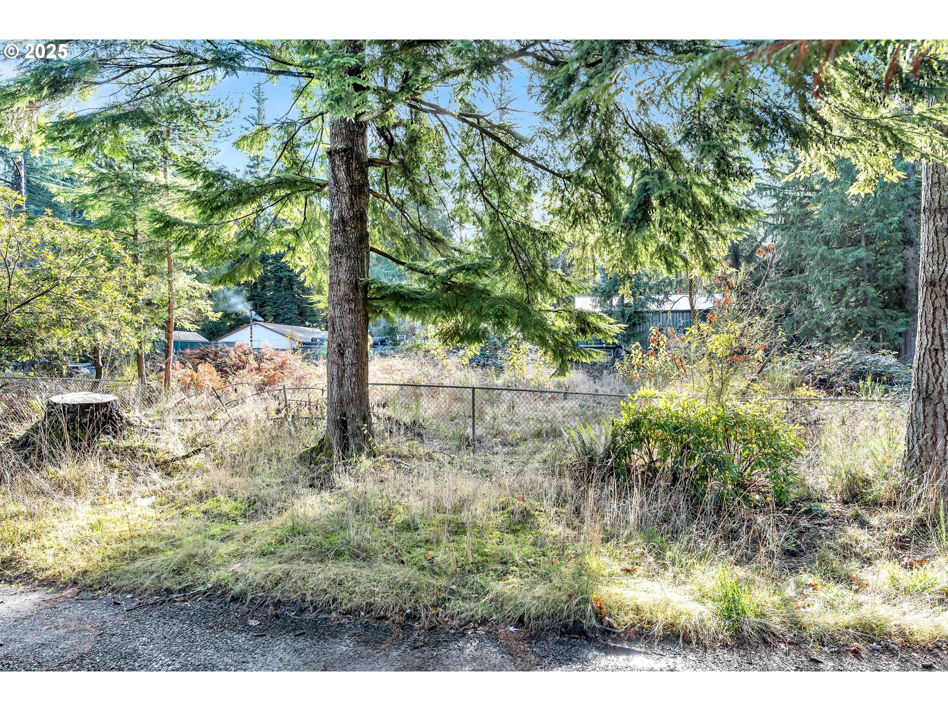 53101 East Sylvan Drive Sandy, OR 97055 - Photo 3 of 13 a view of yard