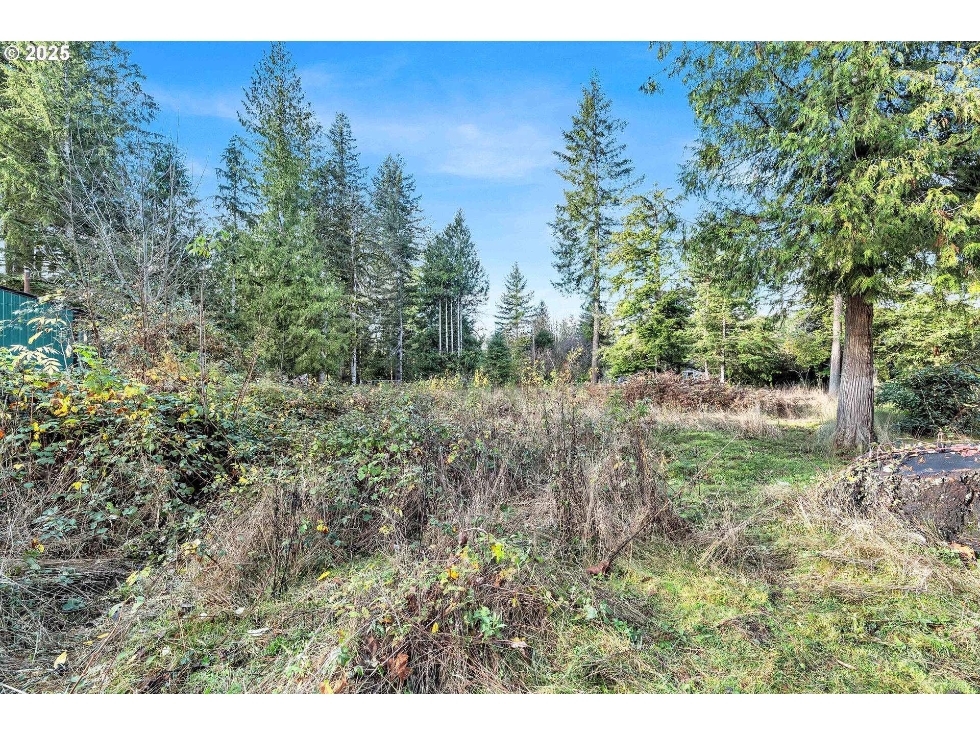 53101 East Sylvan Drive Sandy, OR 97055 - Photo 4 of 13 a view of a yard with a tree
