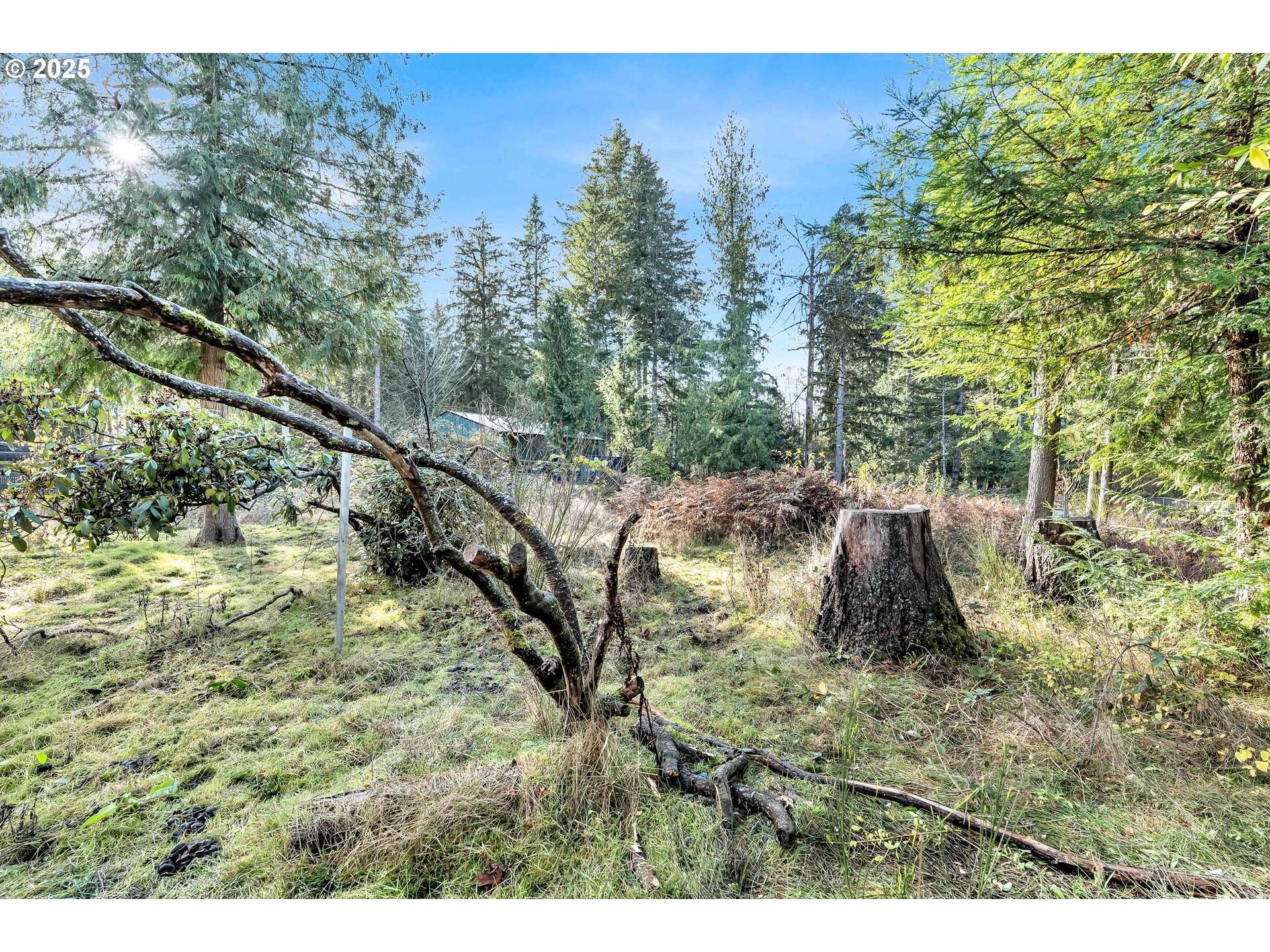53101 East Sylvan Drive Sandy, OR 97055 - Photo 5 of 13 a backyard of a house with lots of green space