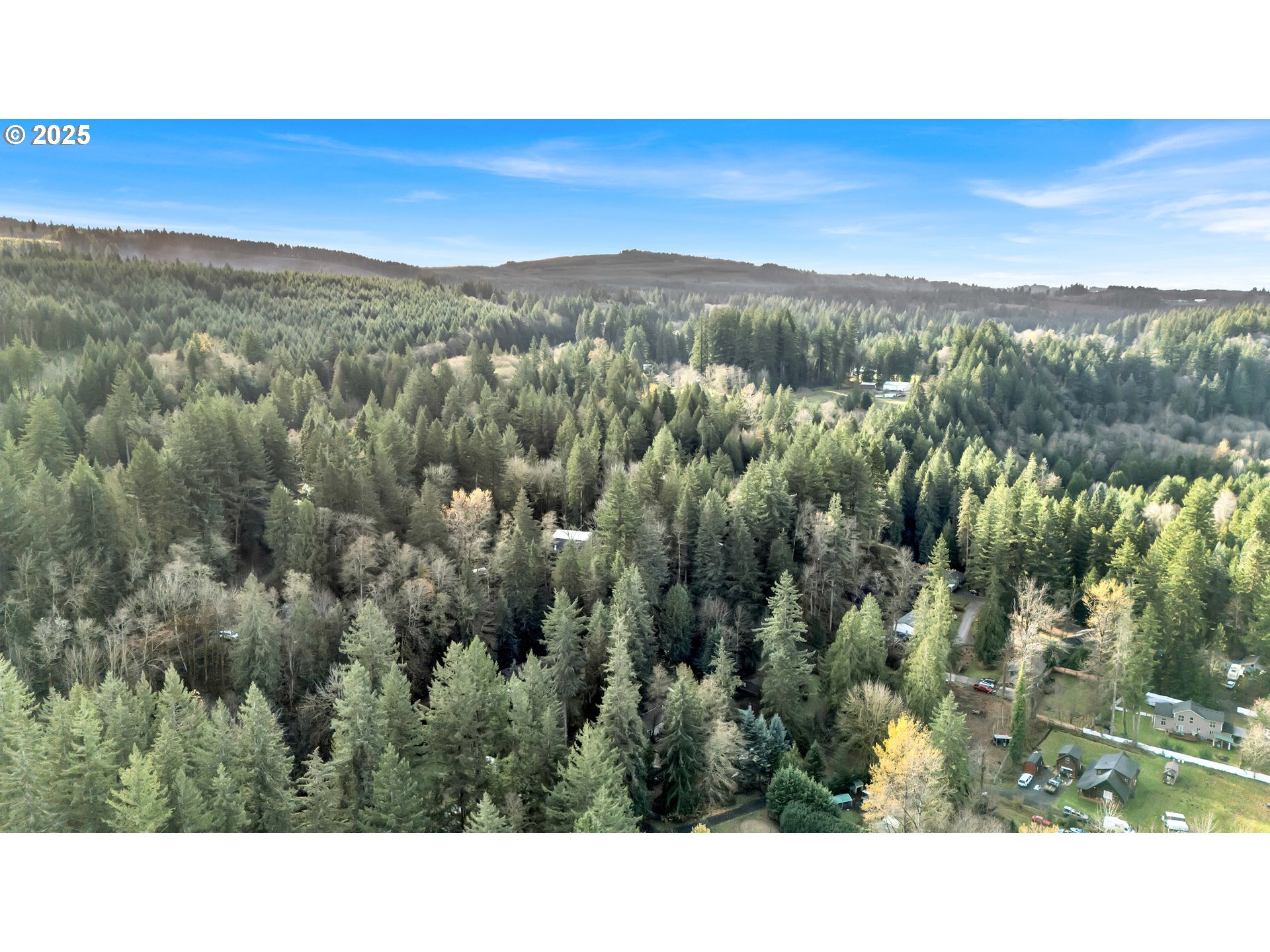 53101 East Sylvan Drive Sandy, OR 97055 - Photo 9 of 13 a view of a city with lush green forest