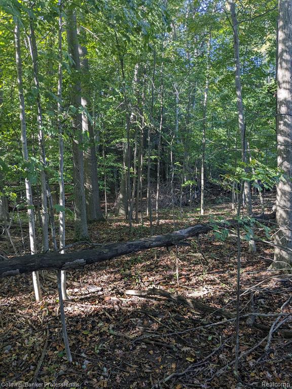 7168 Willis Road Brown City, MI 48416 - Photo 12 of 24