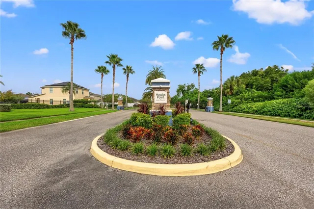 a view of a park with plants and trees