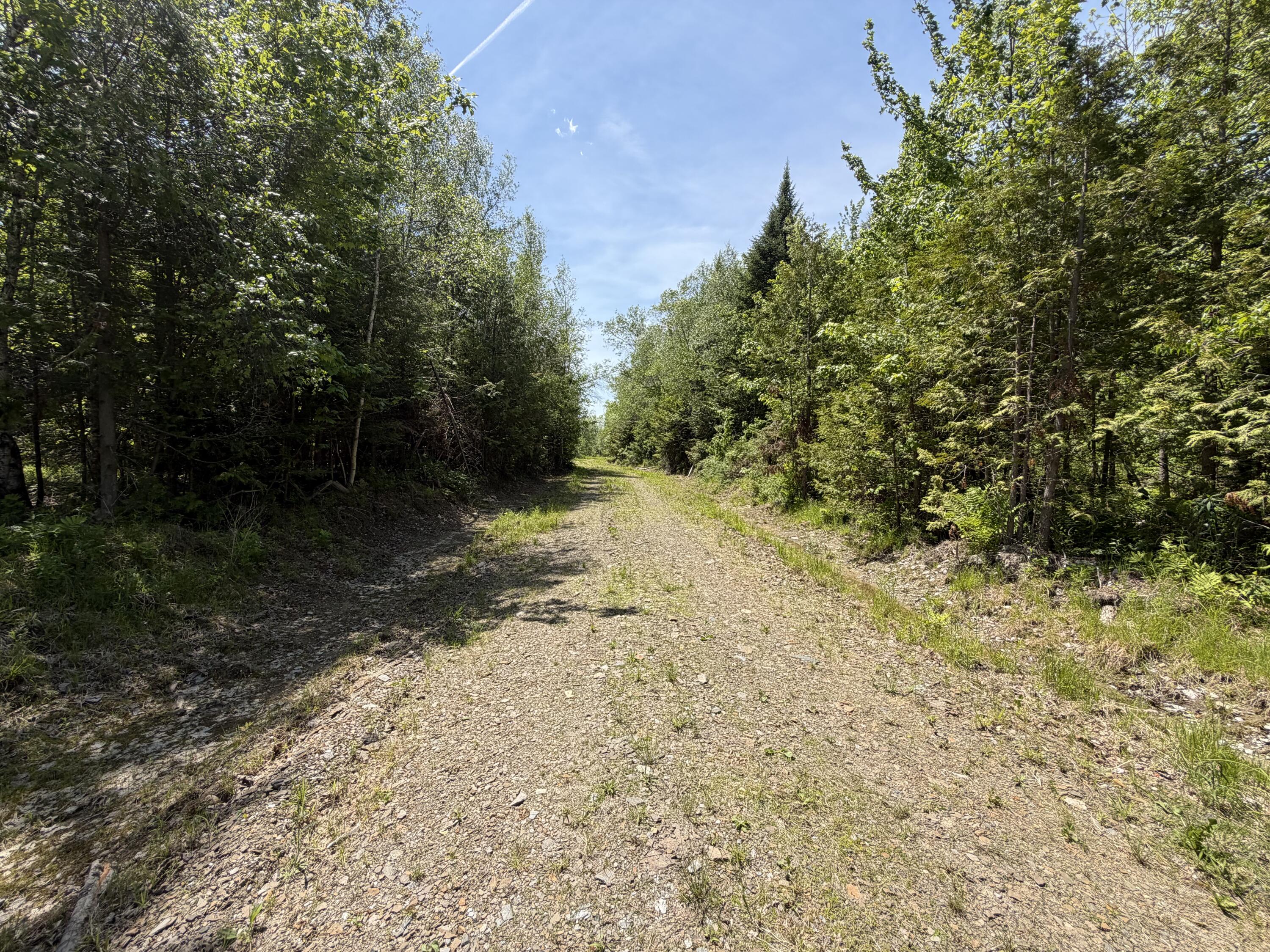 Lot 49 Independence Circle Springfield, ME 04487 - Photo 4 of 8 IMG_1937