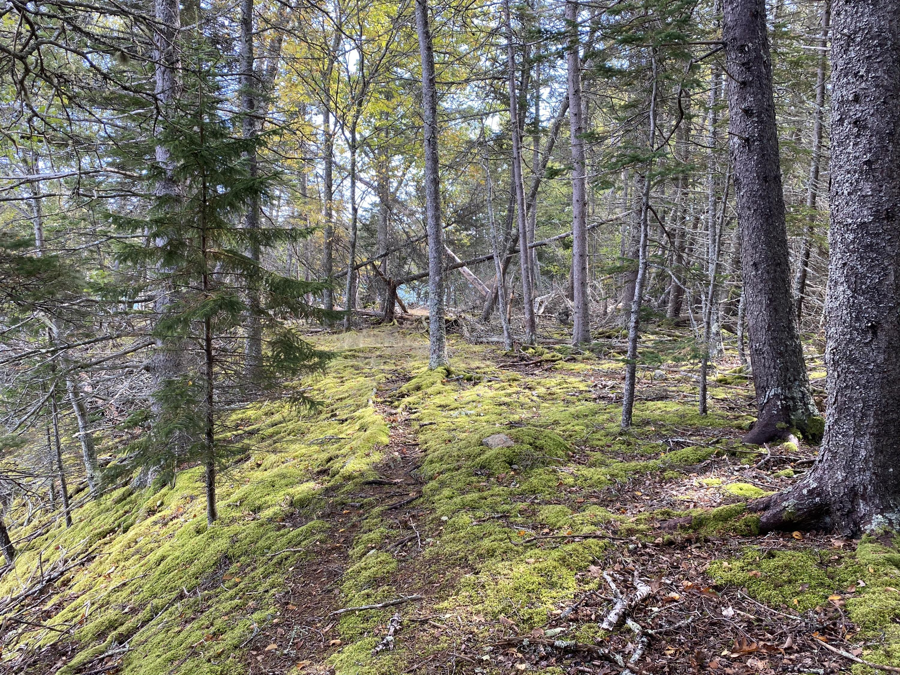 0 West Bay Road Islesboro, ME 04848 - Photo 37 of 60 IMG_1655