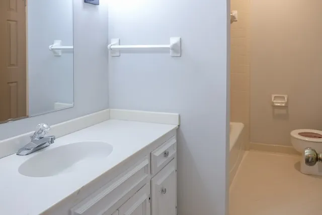 a bathroom with a sink and a vanity