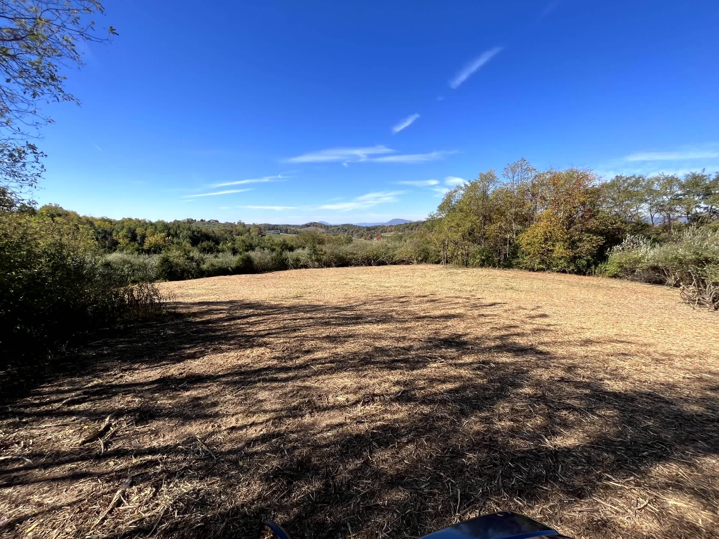 Tbd Merrick Lane Raphine, VA 24472 - Photo 1 of 15 a view of ocean view with lake