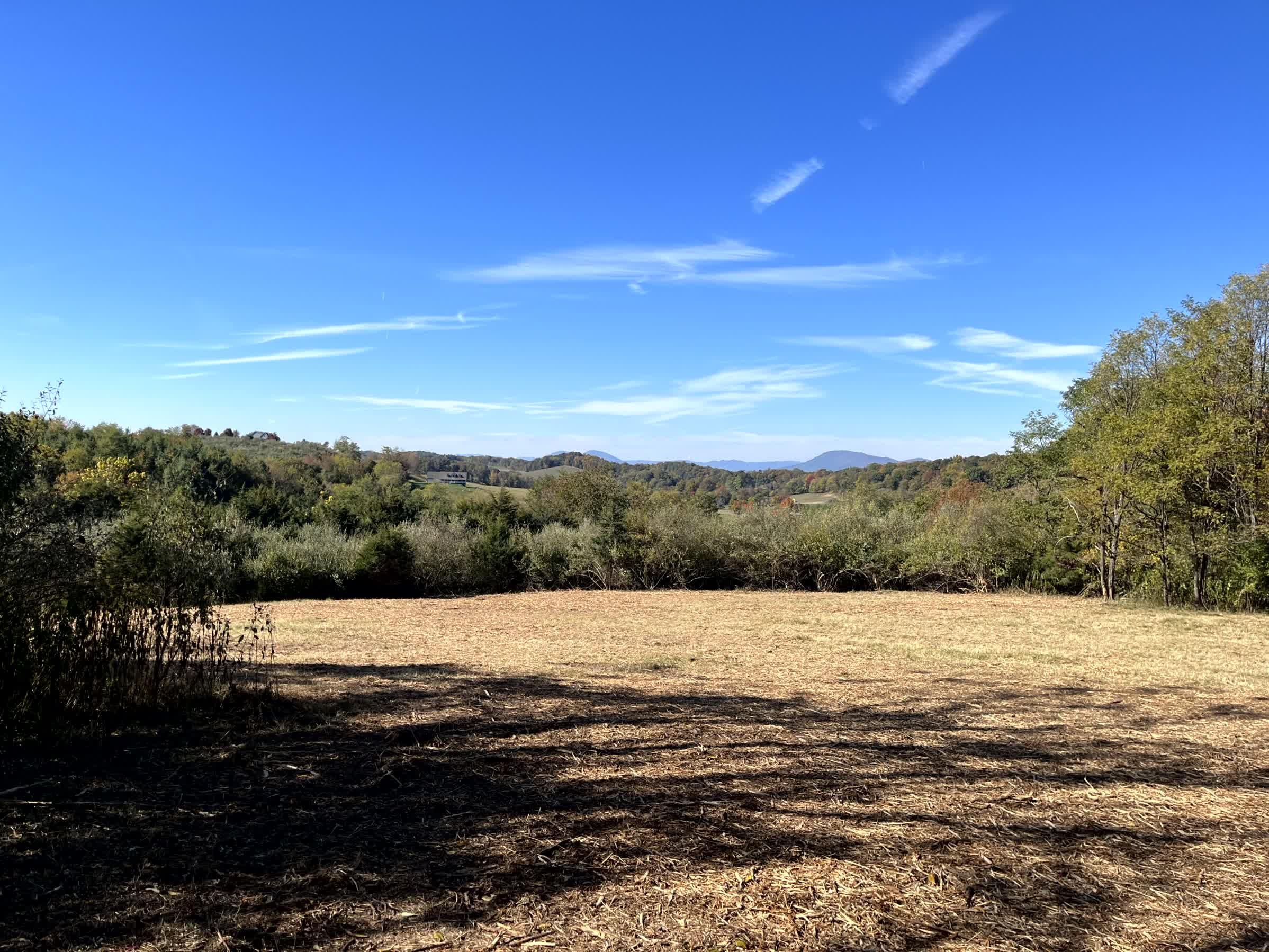 Tbd Merrick Lane Raphine, VA 24472 - Photo 2 of 15 a view of an ocean
