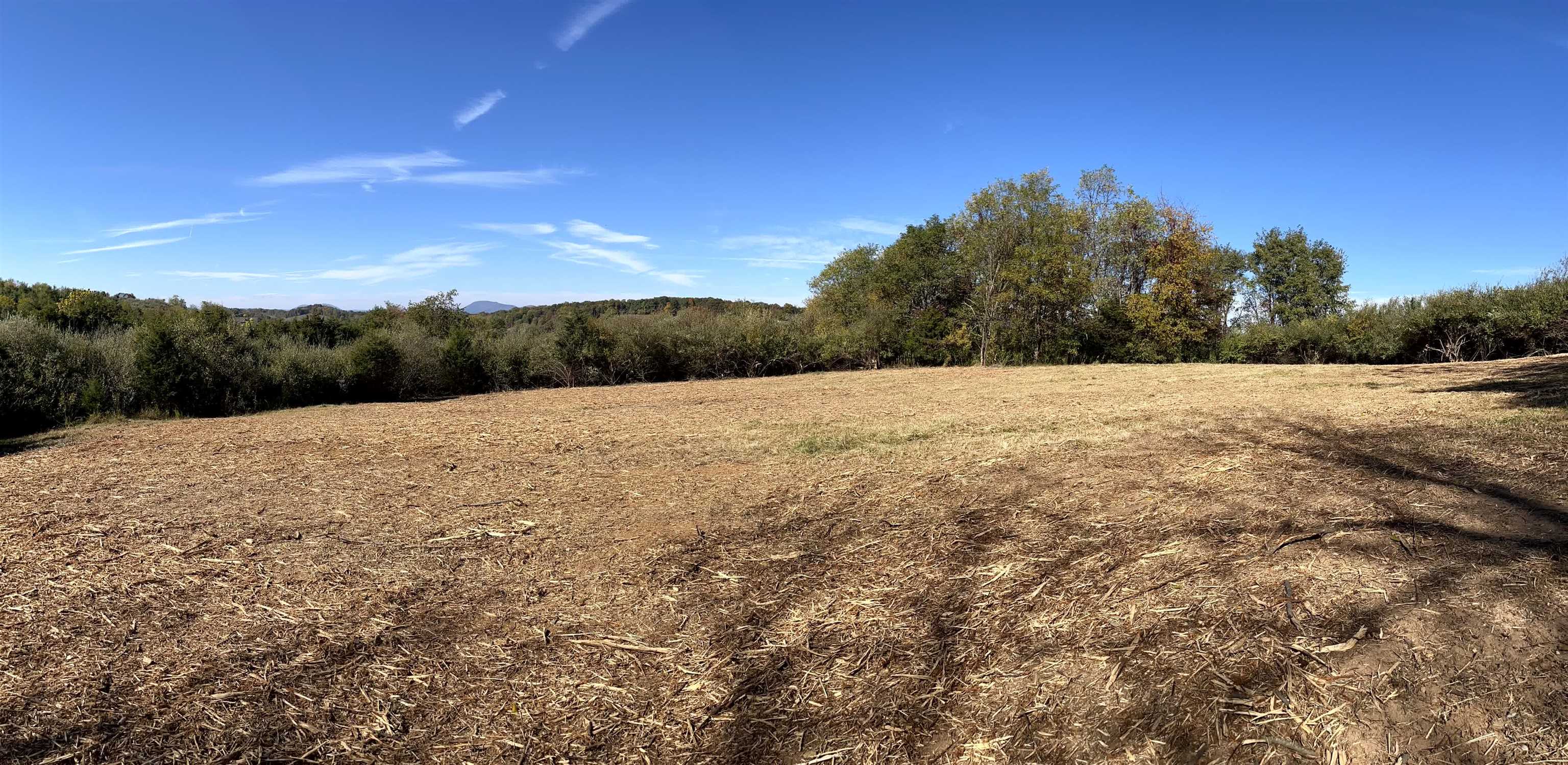 Tbd Merrick Lane Raphine, VA 24472 - Photo 3 of 15 a view of an outdoor space and a yard