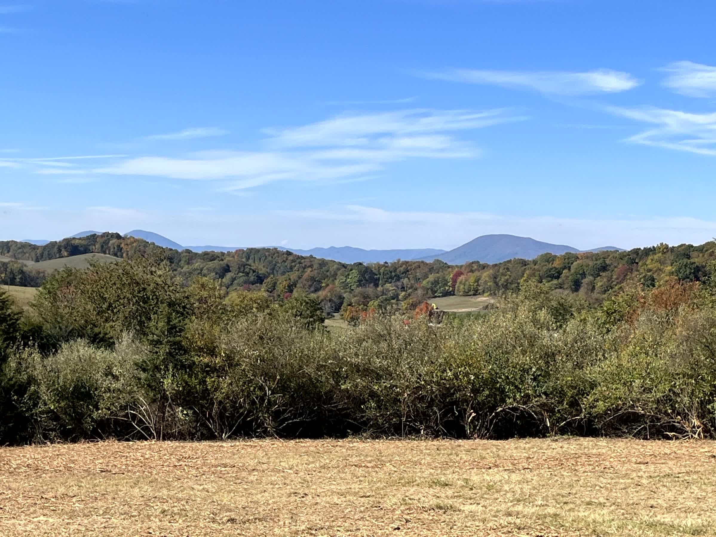 Tbd Merrick Lane Raphine, VA 24472 - Photo 4 of 15 a view of mountain view and mountain