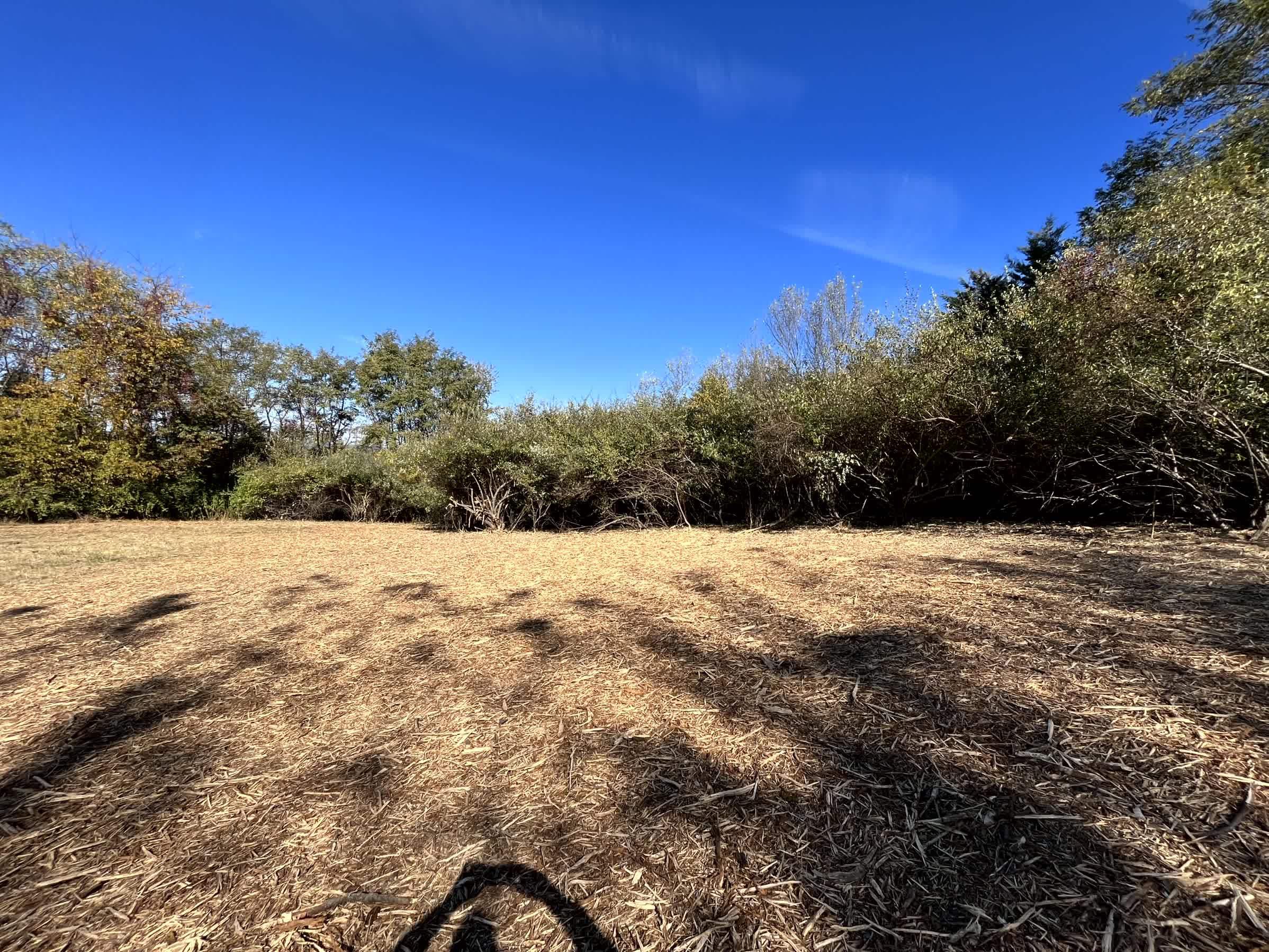 Tbd Merrick Lane Raphine, VA 24472 - Photo 7 of 15 a view of mountain view with trees