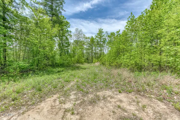 $300,000 | 162 Murph Potter Lane, Roan Mountain, TN 37687