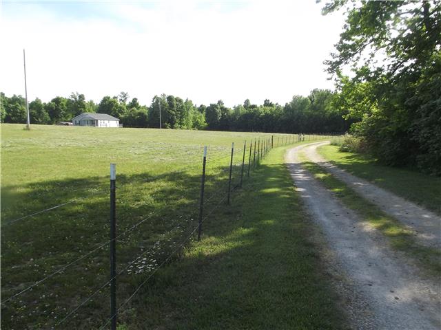 3681 Fall River Road Pulaski, TN 38478 - Photo 2 of 14 a view of a lake from a yard