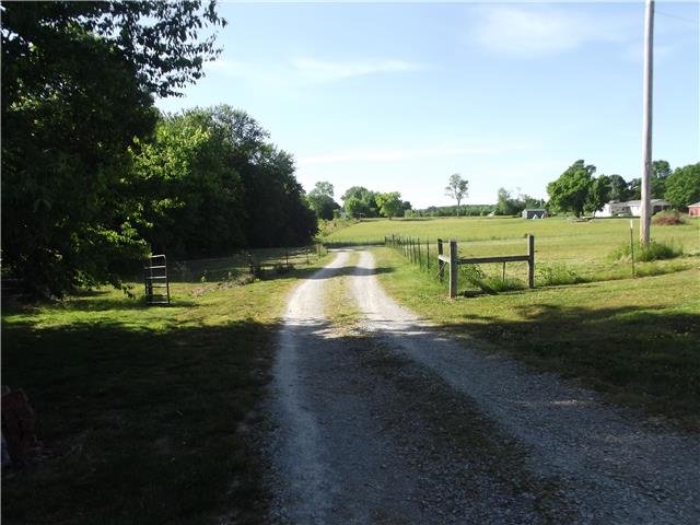 3681 Fall River Road Pulaski, TN 38478 - Photo 3 of 14 a view of a park with large trees