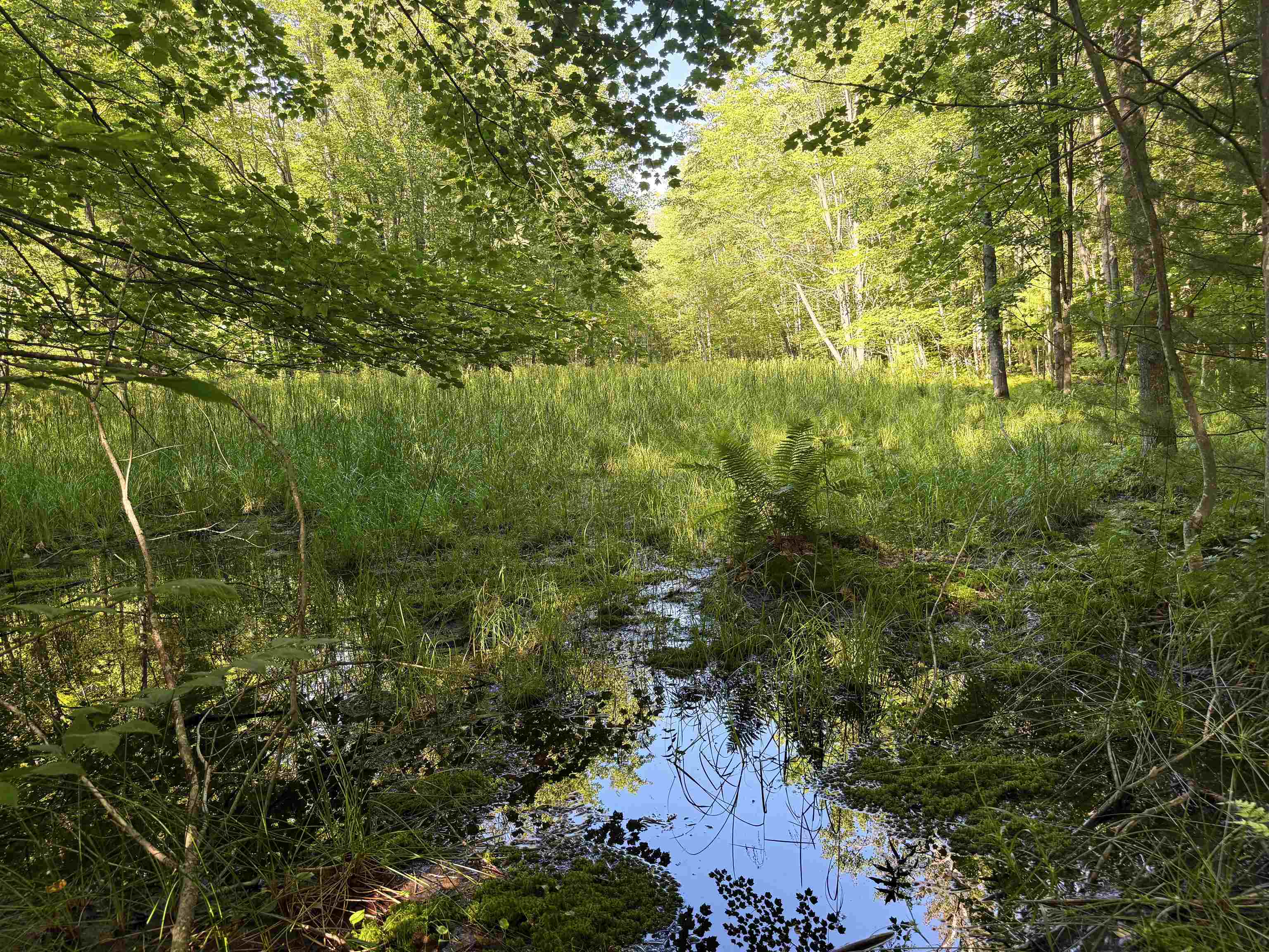 1783 West Sharon Road Fife Lake, MI 49633 - Photo 59 of 71 1947890-030896af-a7de-419d-b4d3-480eebf6a8e3.JPG