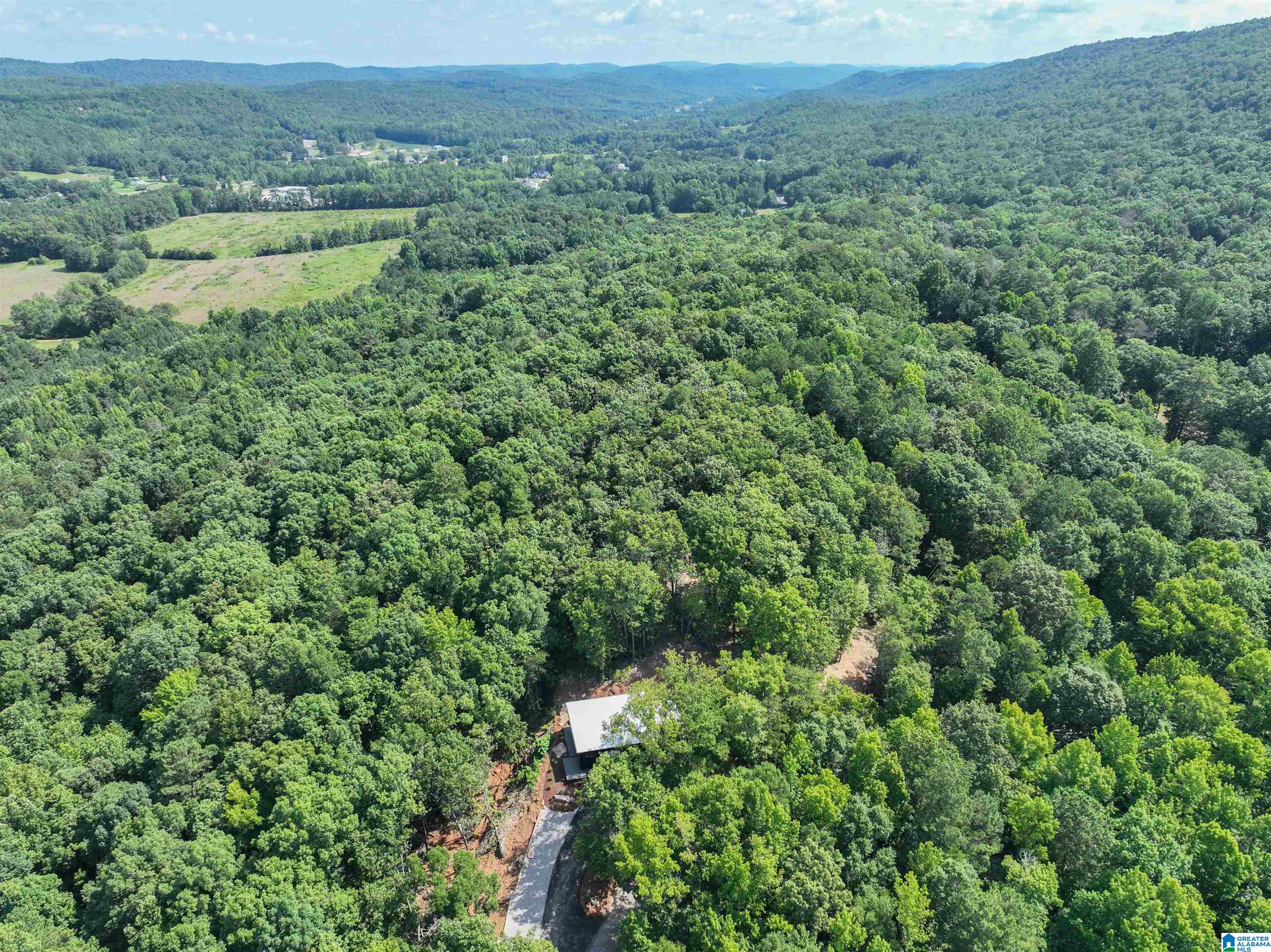 689 Beaver Creek Road Remlap, AL 35133 - Photo 55 of 64