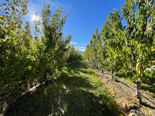a view of a town with mountains in the background
