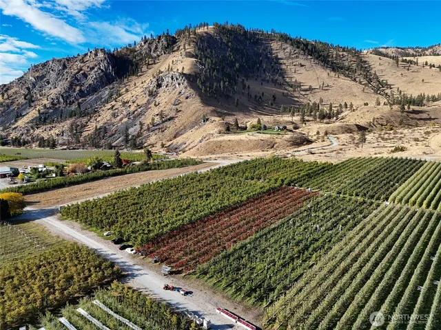 a bathroom with a sink and a bed