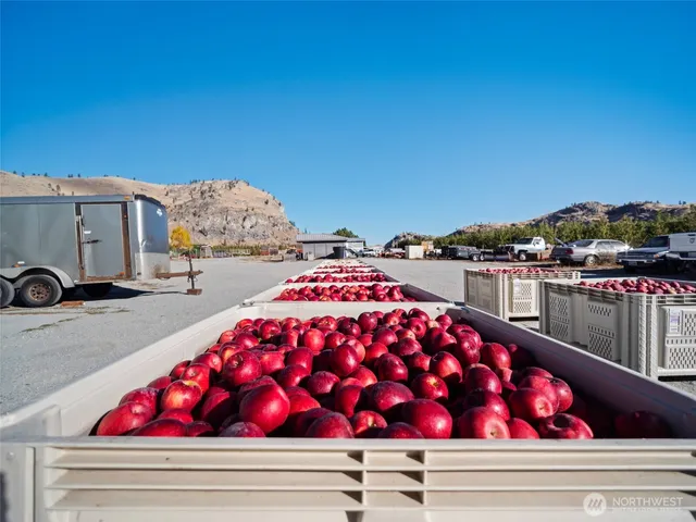 a front view of a house with a window
