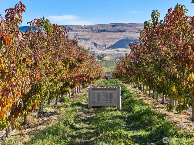 a room with chairs and musical instruments