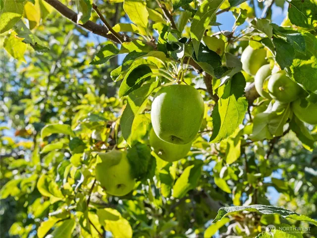 a view of storage and utility