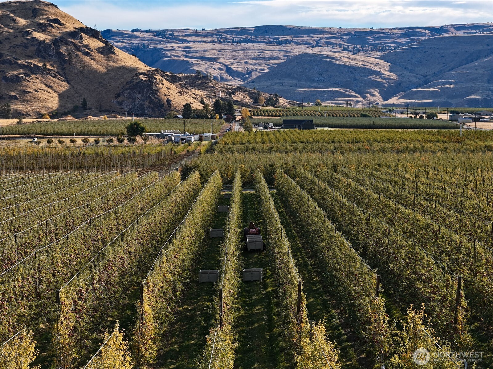 263 Oliver Lane Chelan, WA 98816 - Photo 7 of 39