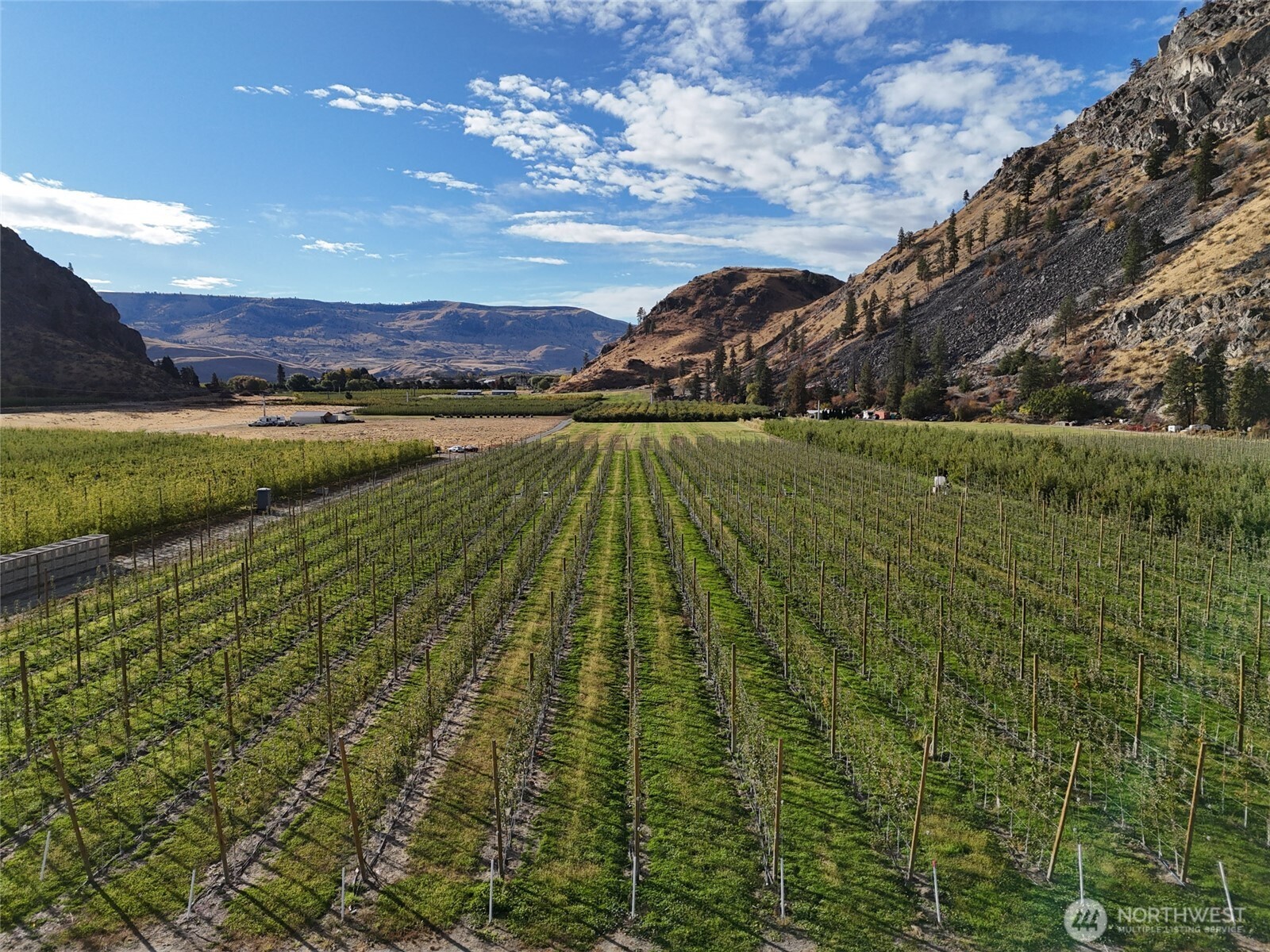 263 Oliver Lane Chelan, WA 98816 - Photo 9 of 39 a view of lake view and mountain view