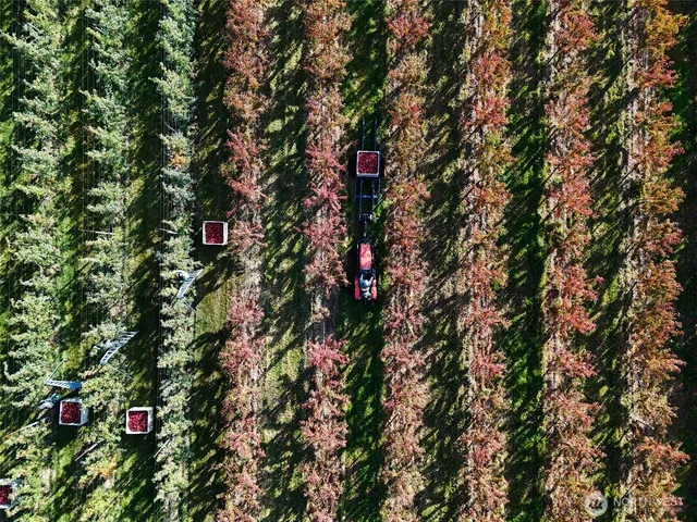 a view of a backyard with outdoor space