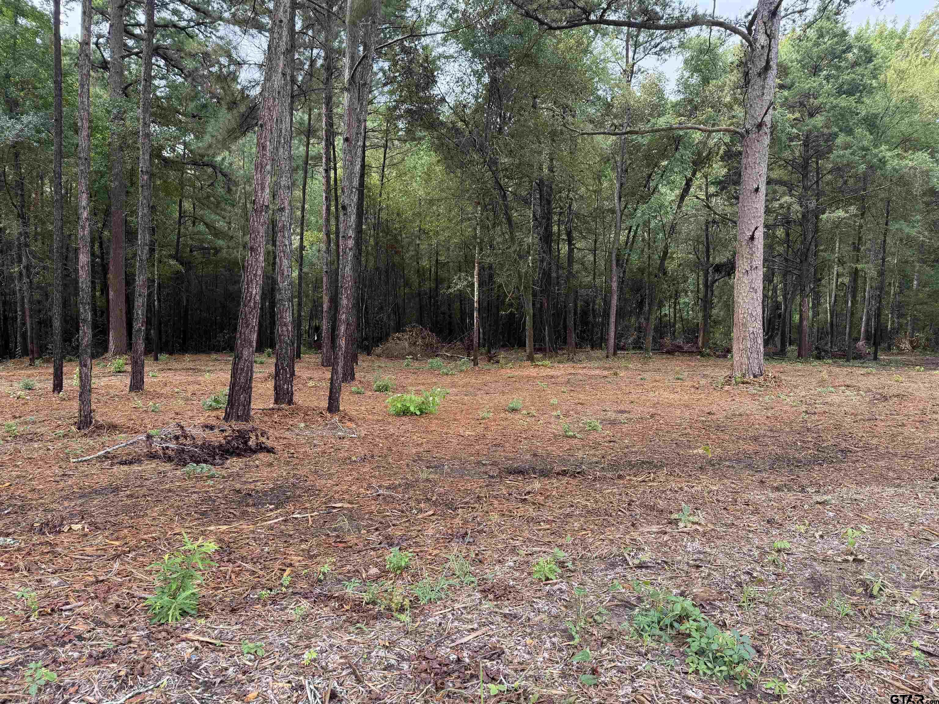 11503 C R 168 Tyler, TX 75703 - Photo 1 of 13 a backyard of a house with lots of green space