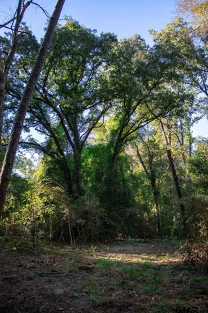 a view of outdoor space with deck and green space