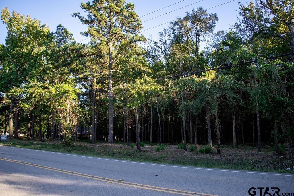 11503 C R 168 Tyler, TX 75703 - Photo 12 of 13 a view of a yard