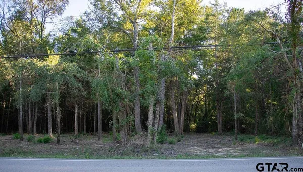 a backyard of a house with lots of trees