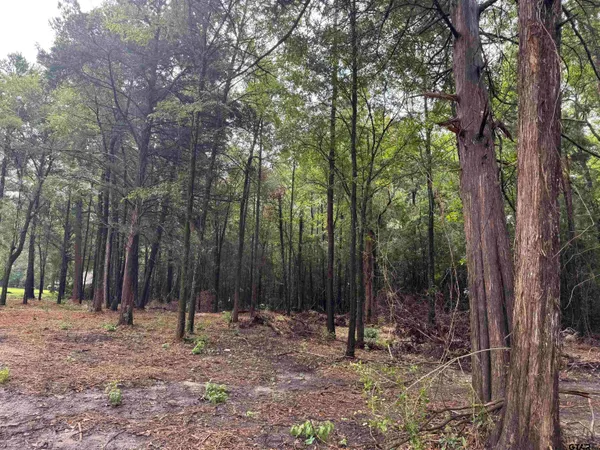 a backyard of a house with lots of trees